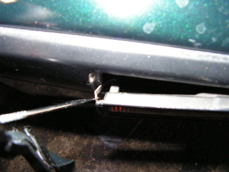 Shorty740088.jpg