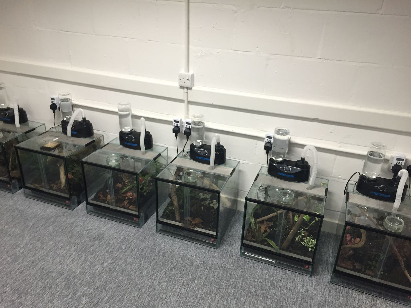 SE England Dart Frog Tanks With Foggers! **SALE** Reptile Forums