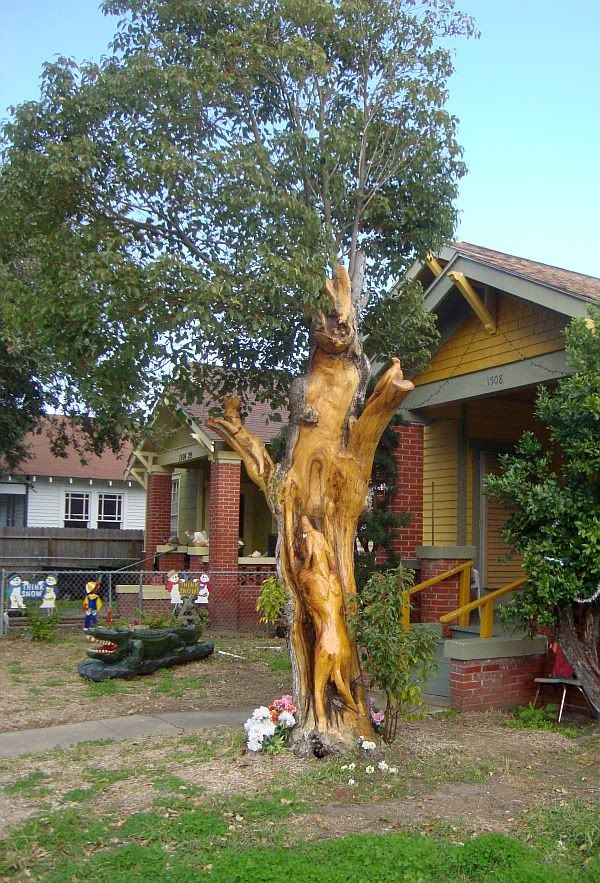 Dog Cat & Squirrel on 29th