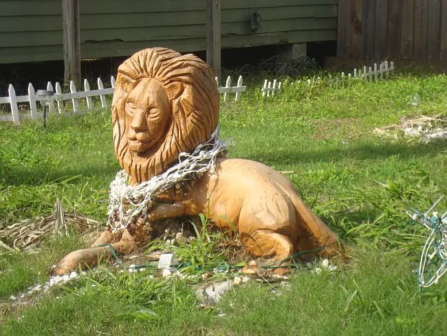Lion Anavnue L