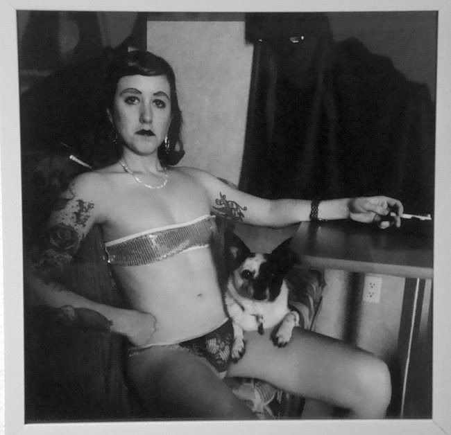 Hermaphrodite and Dog