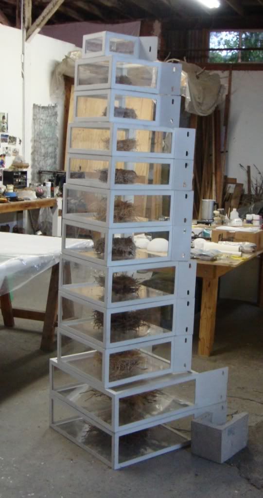Flieschhauer nests