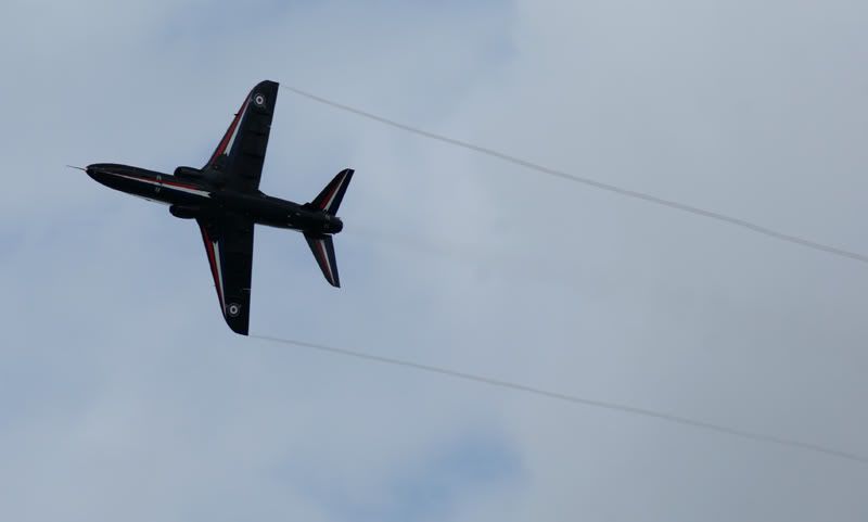  photo hawkdisplay.jpg