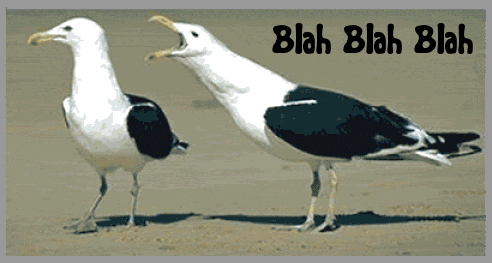 Seagull Seagulls Talk Talking Too Much Blah Blah Funny LOL Laughs Laughing icon icons emoticon emoticons animated animation animations gif gifs animal animals Pictures, Images and Photos