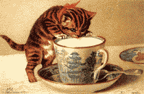 Cat Coffee Drink Drinking Teacup Cup Funny Cats LOL Laughs Laughing icon icons emoticon emoticons animated animation animations gif gifs kitten kittens animal animals Pictures, Images and Photos