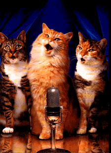 Karaoke animation photo: Cat Karaoke Sing Singing Carol Carols Funny Cats LOL Laughs Laughing icon icons emoticon emoticons animated animation animations gif gifs kitten kittens animal animals CatKaraoke.gif