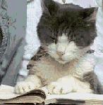 This cat will show you how it's done here on the reading section.