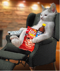 Cat Relax Relaxing TV Remote Watch Watching Snacks Snack Funny Cats LOL Laughs Laughing icon icons emoticon emoticons animated animation animations gif gifs kitten kittens animal animals Pictures, Images and Photos