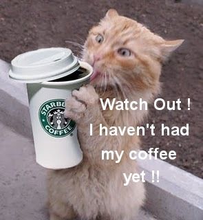 good morning animals photo: Cat Funny Coffee Starbucks Good Morning Cats LOL Laughs Laughing icon icons emoticon emoticons animated animation animations gif gifs Large kitten kittens animal animals CatStarbucksText.jpg