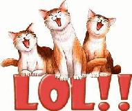 Cat LOL Three Cat Funny Cats LOL Laughs Laughing icon icons emoticon emoticons animated animation animations gif gifs kitten kittens animal animals