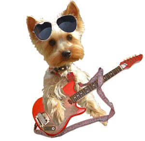Dog Guitar Play Plays Playing Rock n Roll Dogs icon icons emoticon emoticons animated animation animations gif gifs animal animals Pictures, Images and Photos