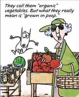Cartoon Maxine Organic Vegetable Spring Summer Garden Gardening LOL Funny Laughs Laughing photo maxine_poop.jpg