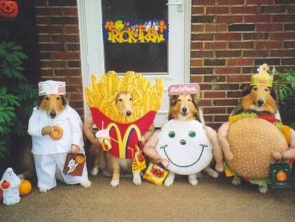 Mcdonalds Funny Sign on Fast Food Mcdonalds Hamburger French Fries Costume Costumes Funny