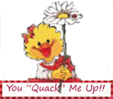 you-quack-me-up.gif
