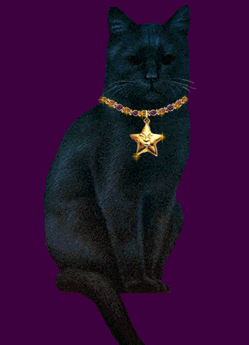 Cat Black blinking Star Animation Animated gif Pictures, Images and Photos