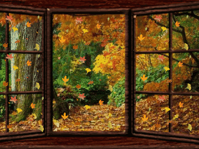 Fall Autumn Window Country Falling Leaves Colorful Smiley Smilie