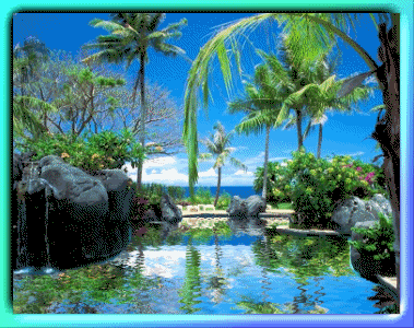 Tropical Paradise Tropics Lake Ocean Palm Trees Relax Relaxing Happy Summer icon icons emoticon emoticons animated animation animations gif gifs Pictures, Images and Photos