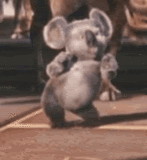 Australia Hello Koala Bear Australian Dance Dancing LOL Funny ROTFL laughs laughing icon icons emoticon emoticons animated animation animations gif Pictures, Images and Photos