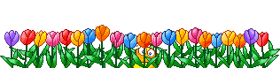 Netherlands Tulips Tulip Hello Smiley Smilie Emoticon Animated Animation Gif
