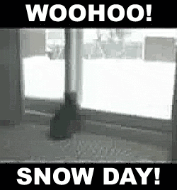 SnowDayCatJumping.gif