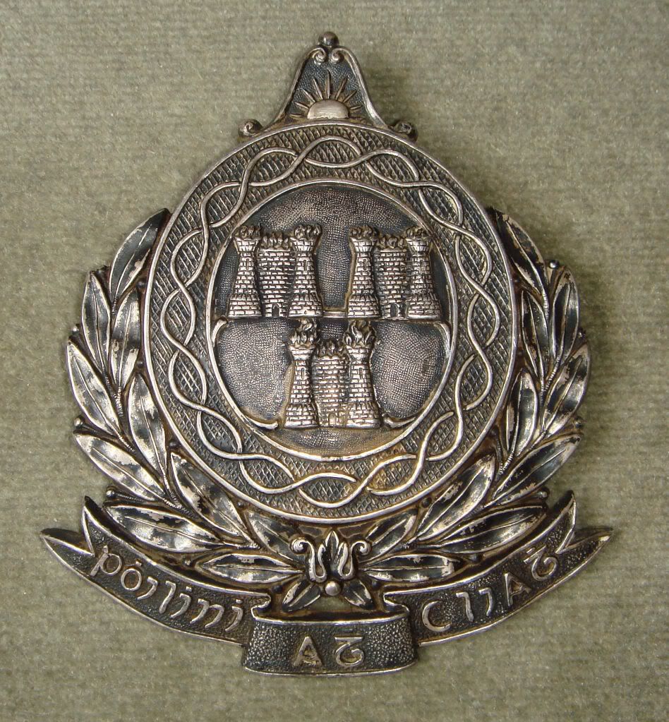 Dublin Metropolitan Police badges and appointments in The Dublin