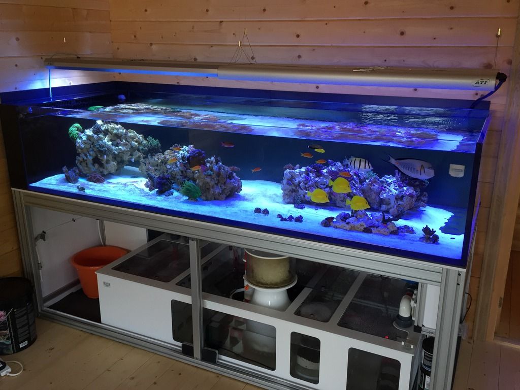 uk 400g peninsular reef