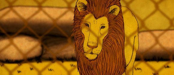 boy-who-wanted-be-lion-short-film