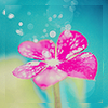 2rdh.png 2rdh.png