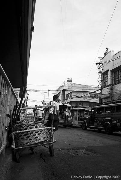 IMAGE: http://i717.photobucket.com/albums/ww175/harvz111/urban%20jungle/IMG_0058.jpg