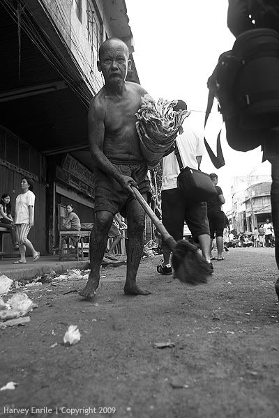 IMAGE: http://i717.photobucket.com/albums/ww175/harvz111/urban%20jungle/IMG_0100.jpg