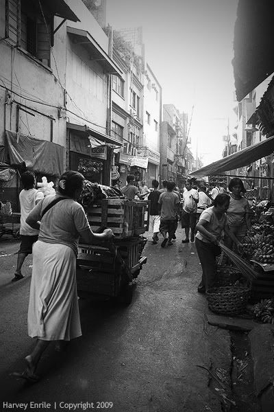 IMAGE: http://i717.photobucket.com/albums/ww175/harvz111/urban%20jungle/IMG_0111.jpg