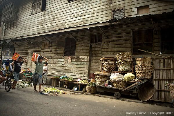 IMAGE: http://i717.photobucket.com/albums/ww175/harvz111/urban%20jungle/IMG_0121.jpg