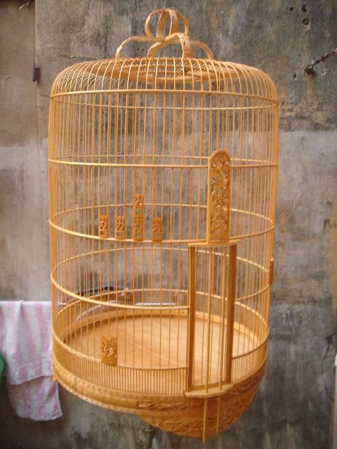 DSC05277.jpg