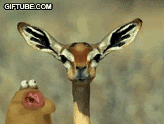 th_14389.gif