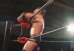 German Suplex Pictures, Images and Photos