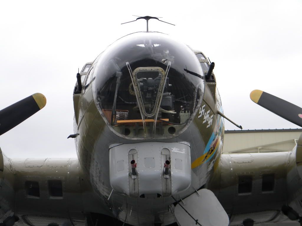 [Image: CollingsFoundationAircraft039.jpg]