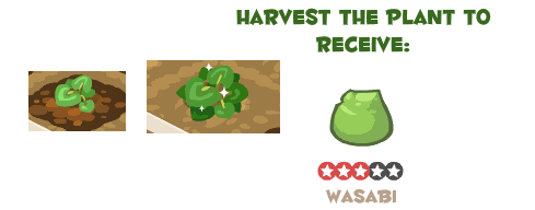 wasabi