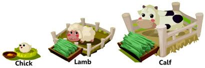 livestock_guide_animals