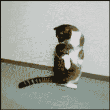 Cat with swishing tail photo: cat tail cat-animated-gif-u30lpng.gif