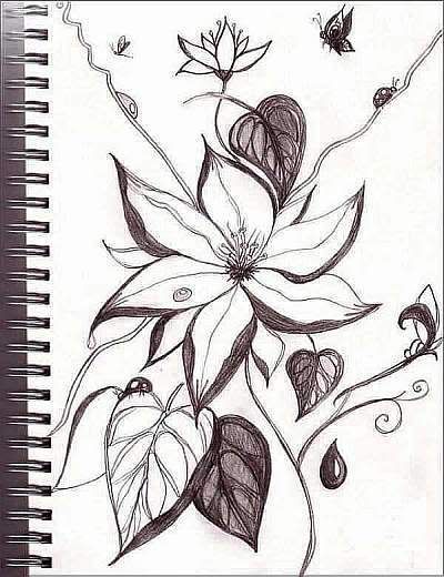 flowerjpg Flower Drawing