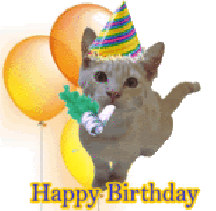 Cat Birthday Party Celebrate Horn Balloons Happy Birthday Cats Kitten ...