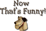 Dog Now That's Funny Dogs Doggie Puppy Puppies Funny LOL Laughs Laughing icon icons emoticon emoticons animated animation animations gif gifs animal animals Pictures, Images and Photos
