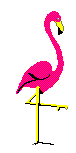 Cowboy Flamingo Dancing Wild West Smiley Smilie Smileys Smilies Emoticon Emoticons Animated Animation Animations Gif photo FlamingoDancing.gif