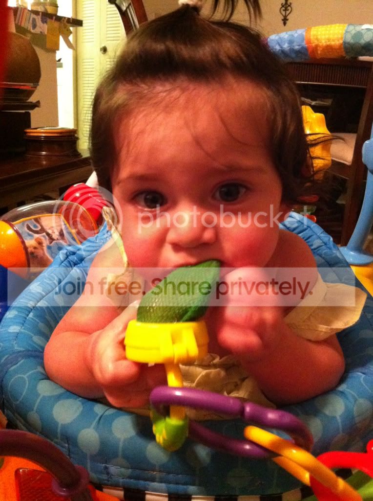 Mesh Feeder Pics Need New Ideas Puuuhleeease Babycenter