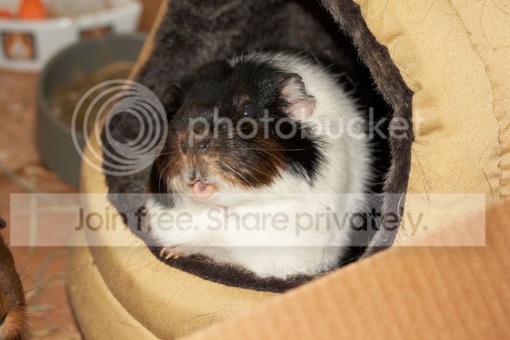 IMG_0053reduced.jpg
