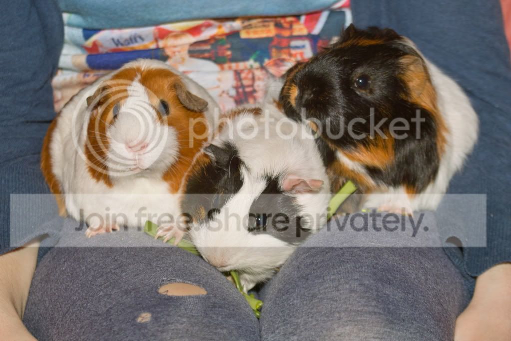 SDIM1914.jpg