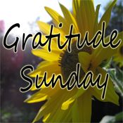 Gratitude Sunday